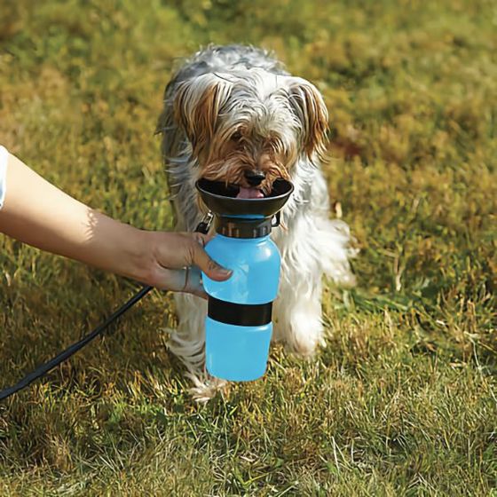 Potovalna steklenica za vodo za pse