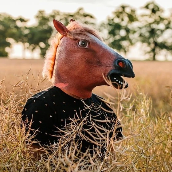 Konjska maska